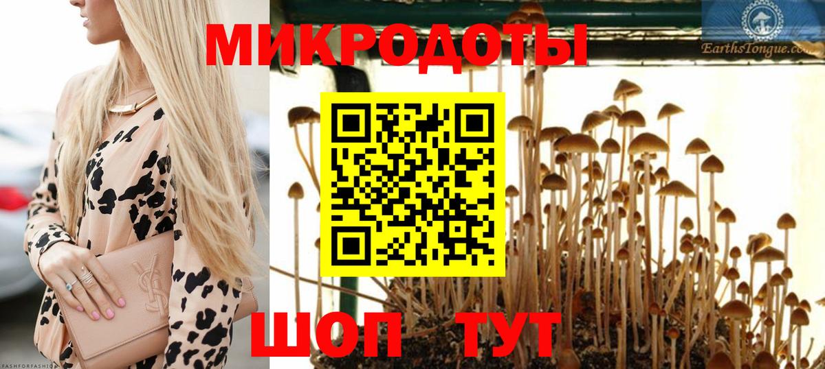 Галлюциногенные грибы Cubensis  Псилоцибиновые грибы Cubensis  Вход с VPN  Усть-Илимск 